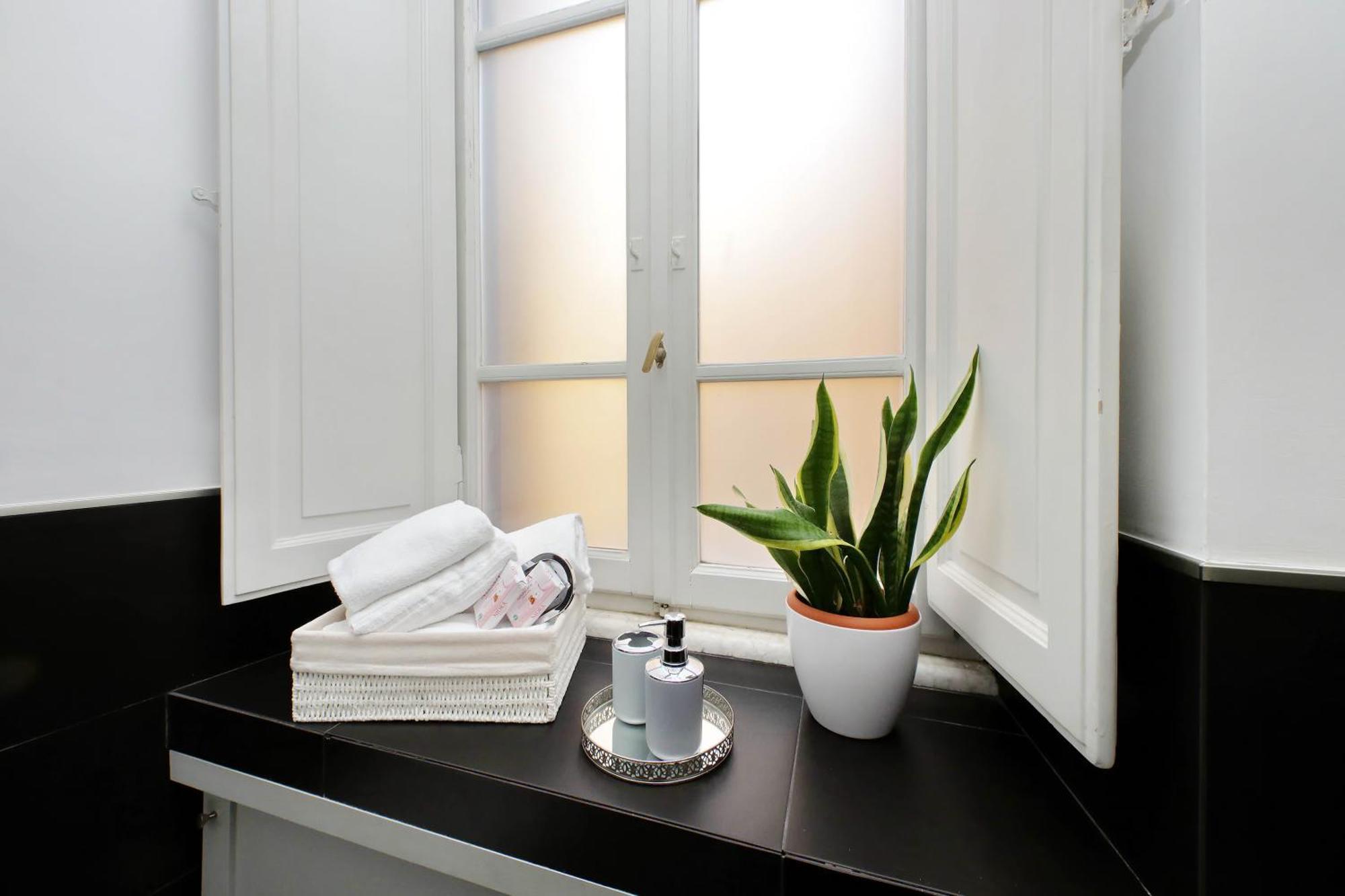 Luxury Vaticano-s'peter Basilica - Netflix Wifi - Aircond Apartment Rom